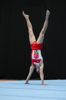 Thumbnail - Trigg Dudley - Спортивная гимнастика - 2022 - Austrian Future Cup - Participants - Great Britain 02055_06049.jpg