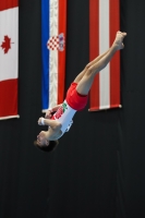 Thumbnail - Jonas Rushworth - Спортивная гимнастика - 2022 - Austrian Future Cup - Participants - Great Britain 02055_06176.jpg