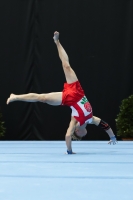 Thumbnail - Daniel Leighton-Scott - Спортивная гимнастика - 2022 - Austrian Future Cup - Participants - Great Britain 02055_06240.jpg
