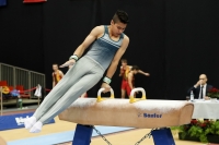Thumbnail - Xavier Magnanini - Спортивная гимнастика - 2022 - Austrian Future Cup - Participants - Australia 02055_06275.jpg