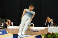 Thumbnail - Xavier Magnanini - Ginnastica Artistica - 2022 - Austrian Future Cup - Participants - Australia 02055_06284.jpg