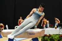 Thumbnail - Xavier Magnanini - Спортивная гимнастика - 2022 - Austrian Future Cup - Participants - Australia 02055_06286.jpg