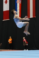 Thumbnail - Scotland - Artistic Gymnastics - 2022 - Austrian Future Cup - Participants 02055_07033.jpg