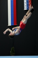 Thumbnail - Czech Republic - Gymnastique Artistique - 2022 - Austrian Future Cup - Participants 02055_07091.jpg