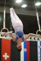 Thumbnail - Scotland - Artistic Gymnastics - 2022 - Austrian Future Cup - Participants 02055_08264.jpg