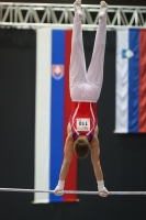 Thumbnail - Slovakia - Ginnastica Artistica - 2022 - Austrian Future Cup - Participants 02055_08765.jpg