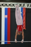 Thumbnail - Slovakia - Ginnastica Artistica - 2022 - Austrian Future Cup - Participants 02055_08766.jpg