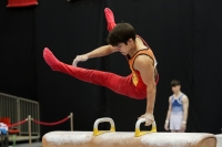 Thumbnail - Romeo Jost - Спортивная гимнастика - 2022 - Austrian Future Cup - Participants - Belgium 02055_09019.jpg