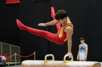 Thumbnail - Romeo Jost - Спортивная гимнастика - 2022 - Austrian Future Cup - Participants - Belgium 02055_09020.jpg