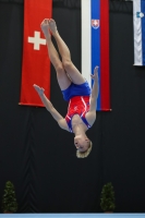Thumbnail - Slovakia - Artistic Gymnastics - 2022 - Austrian Future Cup - Participants 02055_09364.jpg