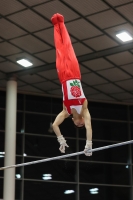 Thumbnail - Oliver Porter - Artistic Gymnastics - 2022 - Austrian Future Cup - Participants - Great Britain 02055_09376.jpg