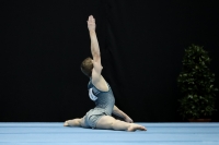 Thumbnail - John Carroll - Artistic Gymnastics - 2022 - Austrian Future Cup - Participants - Australia 02055_09949.jpg