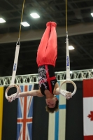 Thumbnail - Oliver Porter - Artistic Gymnastics - 2022 - Austrian Future Cup - Participants - Great Britain 02055_10406.jpg