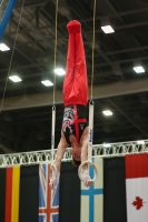 Thumbnail - Oliver Porter - Artistic Gymnastics - 2022 - Austrian Future Cup - Participants - Great Britain 02055_10409.jpg