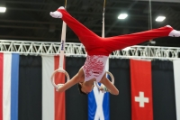 Thumbnail - Poland - Gymnastique Artistique - 2022 - Austrian Future Cup - Participants 02055_10465.jpg