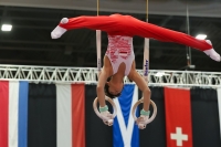 Thumbnail - Poland - Gymnastique Artistique - 2022 - Austrian Future Cup - Participants 02055_10466.jpg
