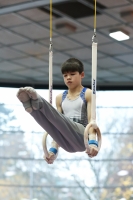 Thumbnail - James Knipe - Artistic Gymnastics - 2022 - Austrian Future Cup - Participants - Great Britain 02055_10655.jpg