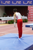 Thumbnail - Poland - Artistic Gymnastics - 2022 - Austrian Future Cup - Participants 02055_10779.jpg