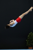 Thumbnail - Poland - Artistic Gymnastics - 2022 - Austrian Future Cup - Participants 02055_10963.jpg