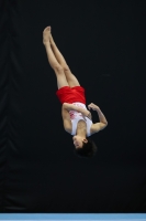 Thumbnail - Poland - Artistic Gymnastics - 2022 - Austrian Future Cup - Participants 02055_10965.jpg