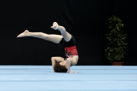 Thumbnail - Samuel Wachter - Artistic Gymnastics - 2022 - Austrian Future Cup - Participants - Austria 02055_11227.jpg