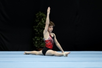 Thumbnail - Samuel Wachter - Gymnastique Artistique - 2022 - Austrian Future Cup - Participants - Austria 02055_11229.jpg