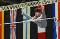 Thumbnail - Great Britain - Gymnastique Artistique - 2022 - Austrian Future Cup - Participants 02055_11986.jpg