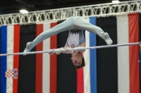 Thumbnail - Great Britain - Artistic Gymnastics - 2022 - Austrian Future Cup - Participants 02055_12030.jpg