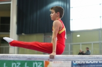 Thumbnail - Germany - Gymnastique Artistique - 2022 - Austrian Future Cup - Participants 02055_12474.jpg