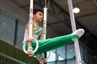 Thumbnail - Josef Jaffer - Artistic Gymnastics - 2023 - NBL Nord Cottbus - Teilnehmer - SV Halle 02057_00050.jpg
