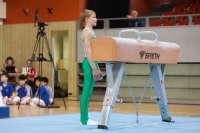 Thumbnail - Travis Pichler - Artistic Gymnastics - 2023 - NBL Nord Cottbus - Teilnehmer - SV Halle 02057_00396.jpg
