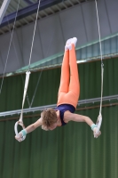 Thumbnail - Turn Team Nord - Artistic Gymnastics - 2023 - NBL Nord Cottbus - Teilnehmer 02057_00582.jpg