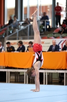 Thumbnail - Siegerländer KV - Спортивная гимнастика - 2023 - NBL Nord Cottbus - Teilnehmer 02057_00677.jpg