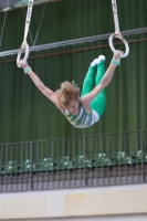 Thumbnail - Travis Pichler - Artistic Gymnastics - 2023 - NBL Nord Cottbus - Teilnehmer - SV Halle 02057_00932.jpg