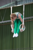 Thumbnail - Travis Pichler - Artistic Gymnastics - 2023 - NBL Nord Cottbus - Teilnehmer - SV Halle 02057_00940.jpg