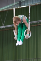 Thumbnail - Travis Pichler - Ginnastica Artistica - 2023 - NBL Nord Cottbus - Teilnehmer - SV Halle 02057_00940.jpg