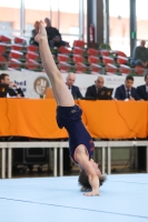 Thumbnail - Turn Team Nord - Ginnastica Artistica - 2023 - NBL Nord Cottbus - Teilnehmer 02057_01102.jpg