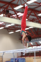 Thumbnail - Baden - Hanzhang Liu - Спортивная гимнастика - 2023 - DJM Dillingen - Participants - Age Class 12 02061_10016.jpg