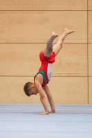 Thumbnail - Age Class 12 - Спортивная гимнастика - 2023 - DJM Dillingen - Participants 02061_11764.jpg