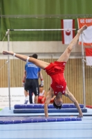 Thumbnail - SC Cottbus - Спортивная гимнастика - 2023 - egWohnen Juniorstrophy - Participants 02062_15649.jpg