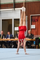 Thumbnail - Brandenburg - Tim Bundt - Спортивная гимнастика - 2023 - Deutschlandpokal Herbolzheim - Teilnehmer - AK 09 bis 10 02063_09292.jpg