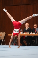 Thumbnail - Brandenburg - Tim Bundt - Спортивная гимнастика - 2023 - Deutschlandpokal Herbolzheim - Teilnehmer - AK 09 bis 10 02063_09297.jpg