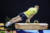Thumbnail - Ukraine - Спортивная гимнастика - 2023 - Austrian Future Cup - Participants 02066_16286.jpg