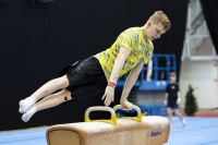 Thumbnail - Ukraine - Спортивная гимнастика - 2023 - Austrian Future Cup - Participants 02066_16307.jpg