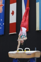 Thumbnail - Wales - Спортивная гимнастика - 2023 - Austrian Future Cup - Participants 02066_26905.jpg