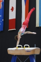 Thumbnail - Wales - Artistic Gymnastics - 2023 - Austrian Future Cup - Participants 02066_26906.jpg