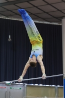 Thumbnail - Participants - Спортивная гимнастика - 2023 - Austrian Future Cup 02066_27745.jpg