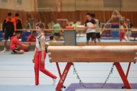 Thumbnail - Participants - Gymnastique Artistique - 2024 - NBL Nord in Cottbus 02068_00041.jpg
