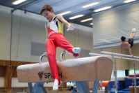 Thumbnail - Participants - Ginnastica Artistica - 2024 - NBL Nord in Cottbus 02068_00280.jpg