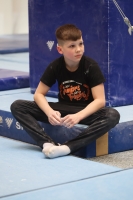 Thumbnail - SC Cottbus - Artistic Gymnastics - 2024 - NBL Nord in Cottbus - Participants 02068_00411.jpg